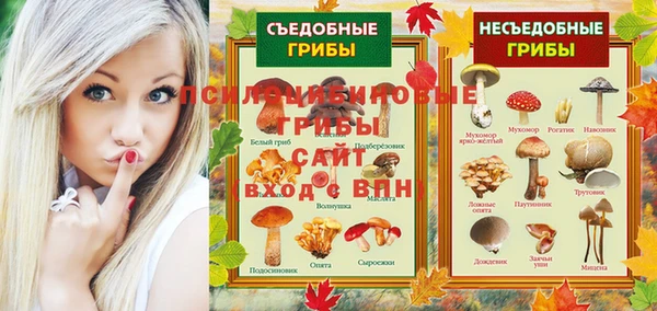 apvp Горняк
