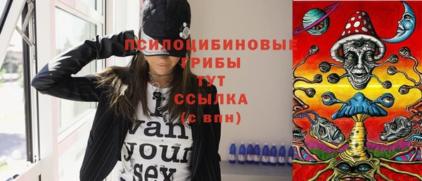 твердый Горно-Алтайск