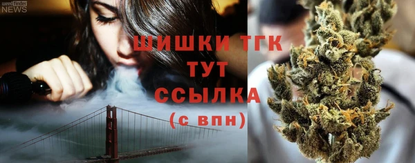 apvp Горняк