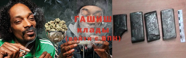 apvp Горняк