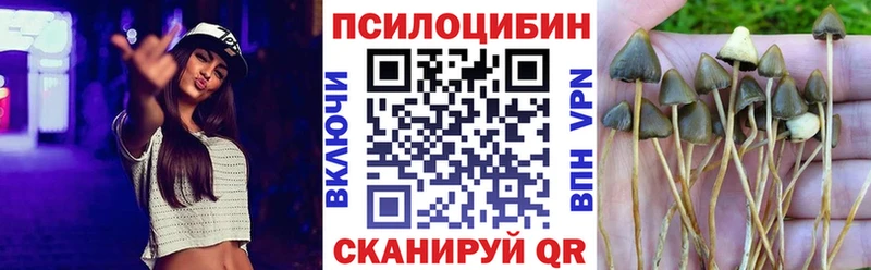 Галлюциногенные грибы мицелий  Ростов-на-Дону 